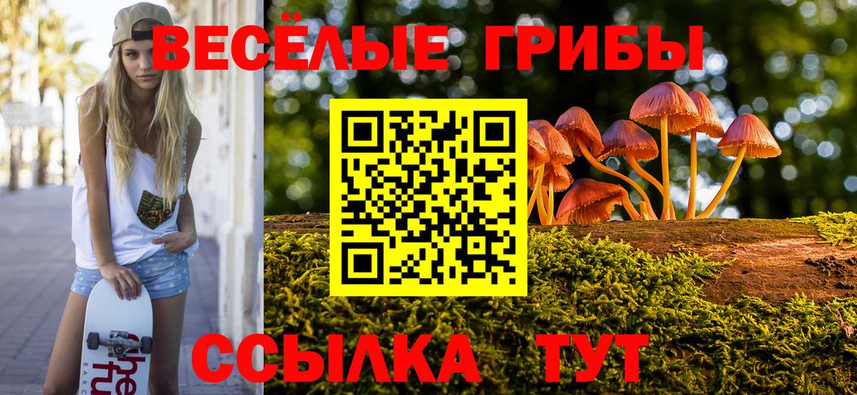 Галлюциногенные грибы GOLDEN TEACHER Партизанск