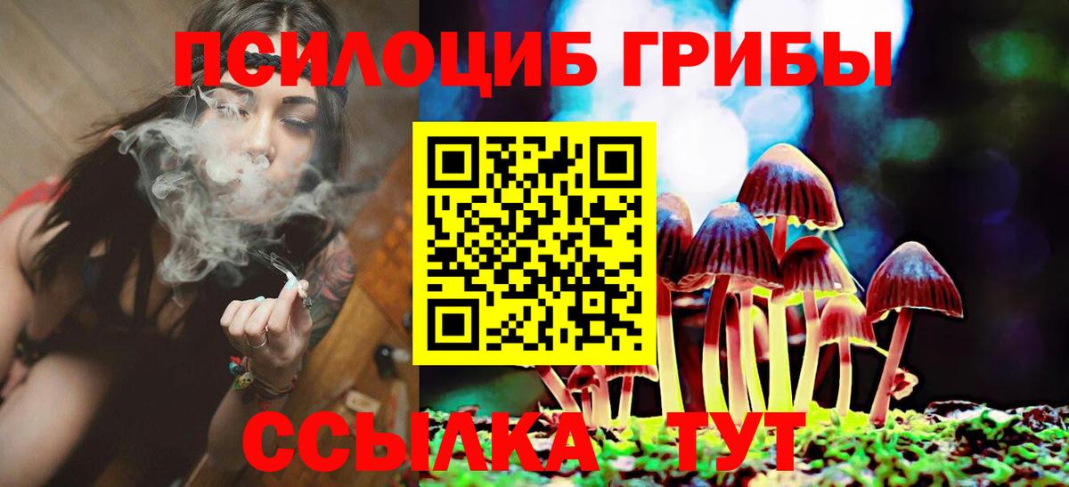 Галлюциногенные грибы Magic Shrooms  закладка  Партизанск  Вход с VPN 